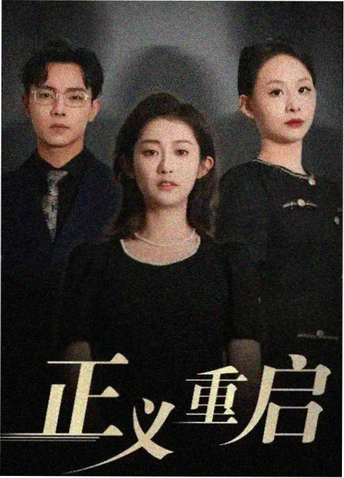 网络剧集视听作品版权登记案例